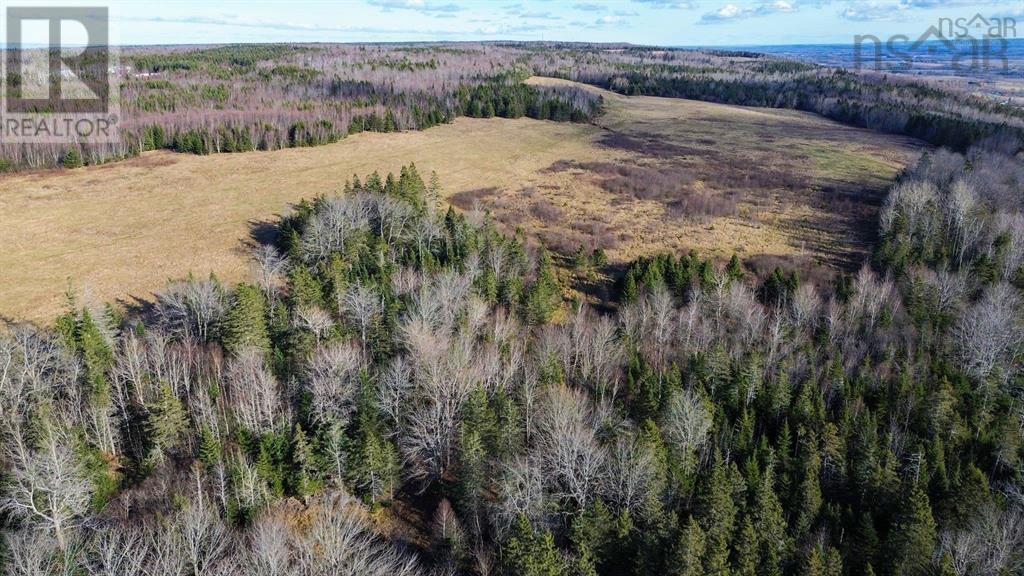 894 Morden Road, Weltons Corner, Nova Scotia  B0P 1C0 - Photo 37 - 202524922