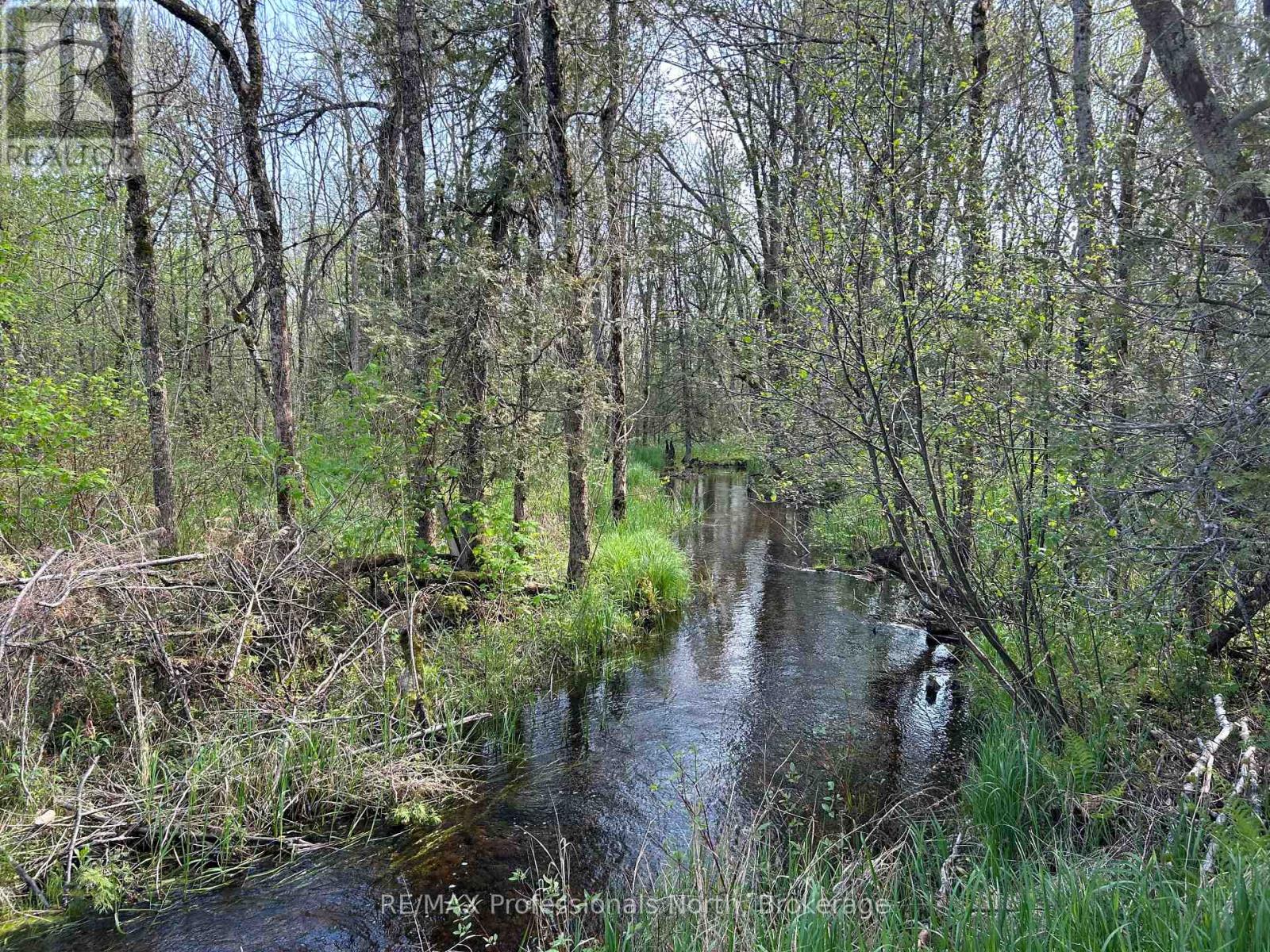 810 4th Line, Douro-Dummer, Ontario  K0L 3E0 - Photo 6 - X12440982