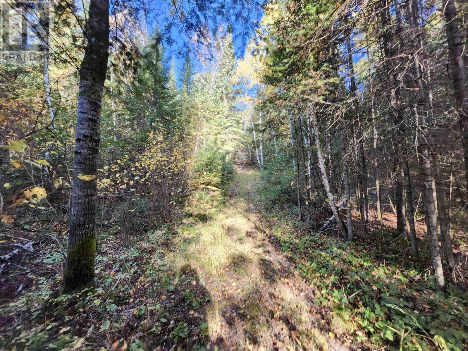 18 Johnson Road, Kenora, Ontario  P9N 0A6 - Photo 28 - TB253105