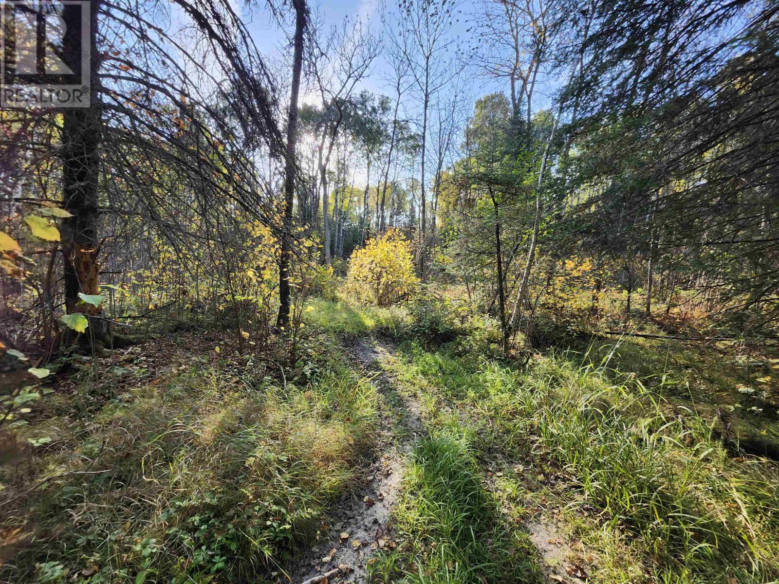 18 Johnson Road, Kenora, Ontario  P9N 0A6 - Photo 27 - TB253105