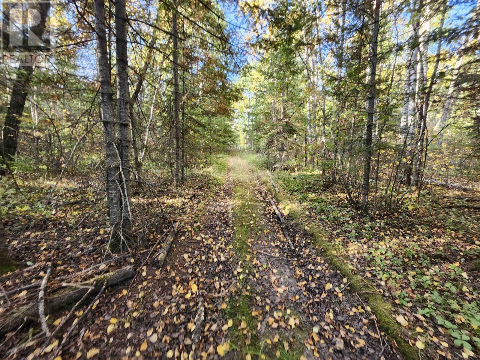 18 Johnson Road, Kenora, Ontario  P9N 0A6 - Photo 25 - TB253105