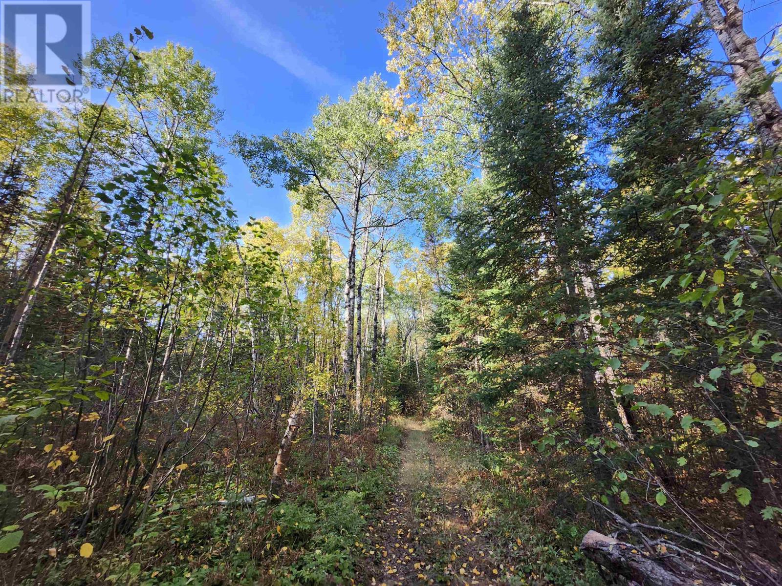 18 Johnson Road, Kenora, Ontario  P9N 0A6 - Photo 26 - TB253105