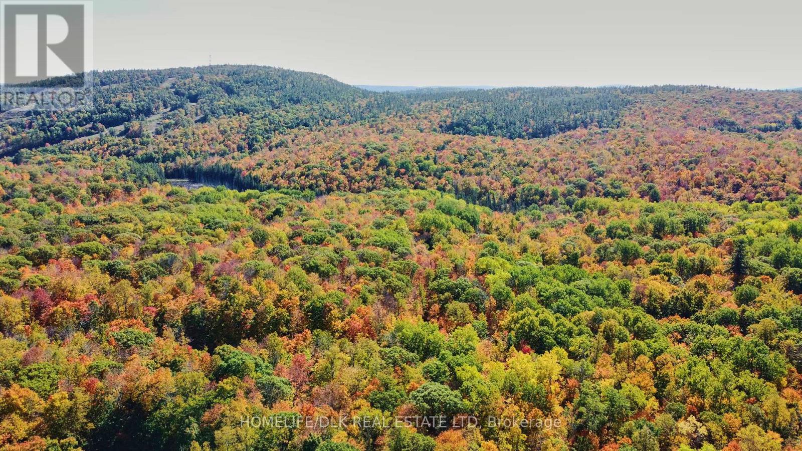 6702b Calabogie Road, Greater Madawaska, Ontario  K0J 1H0 - Photo 30 - X12440898