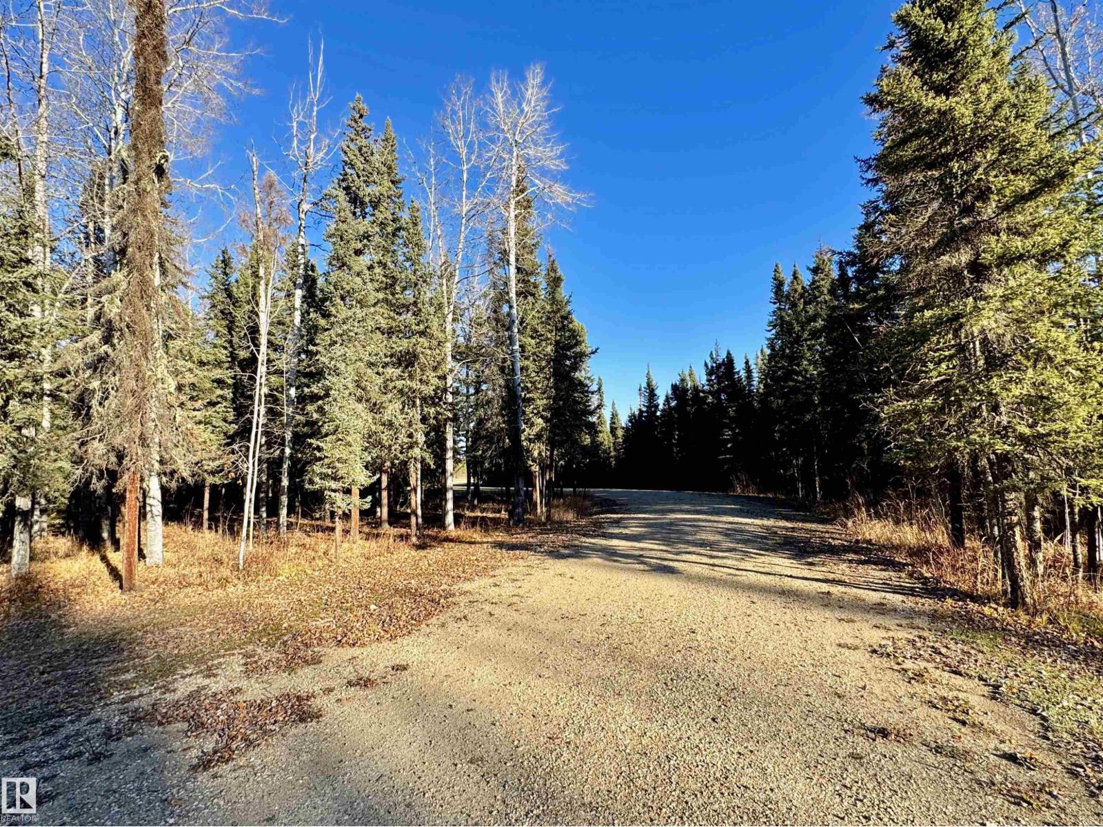 8402 Township 503, Rural Brazeau County, Alberta  T7A 2A3 - Photo 36 - E4411730