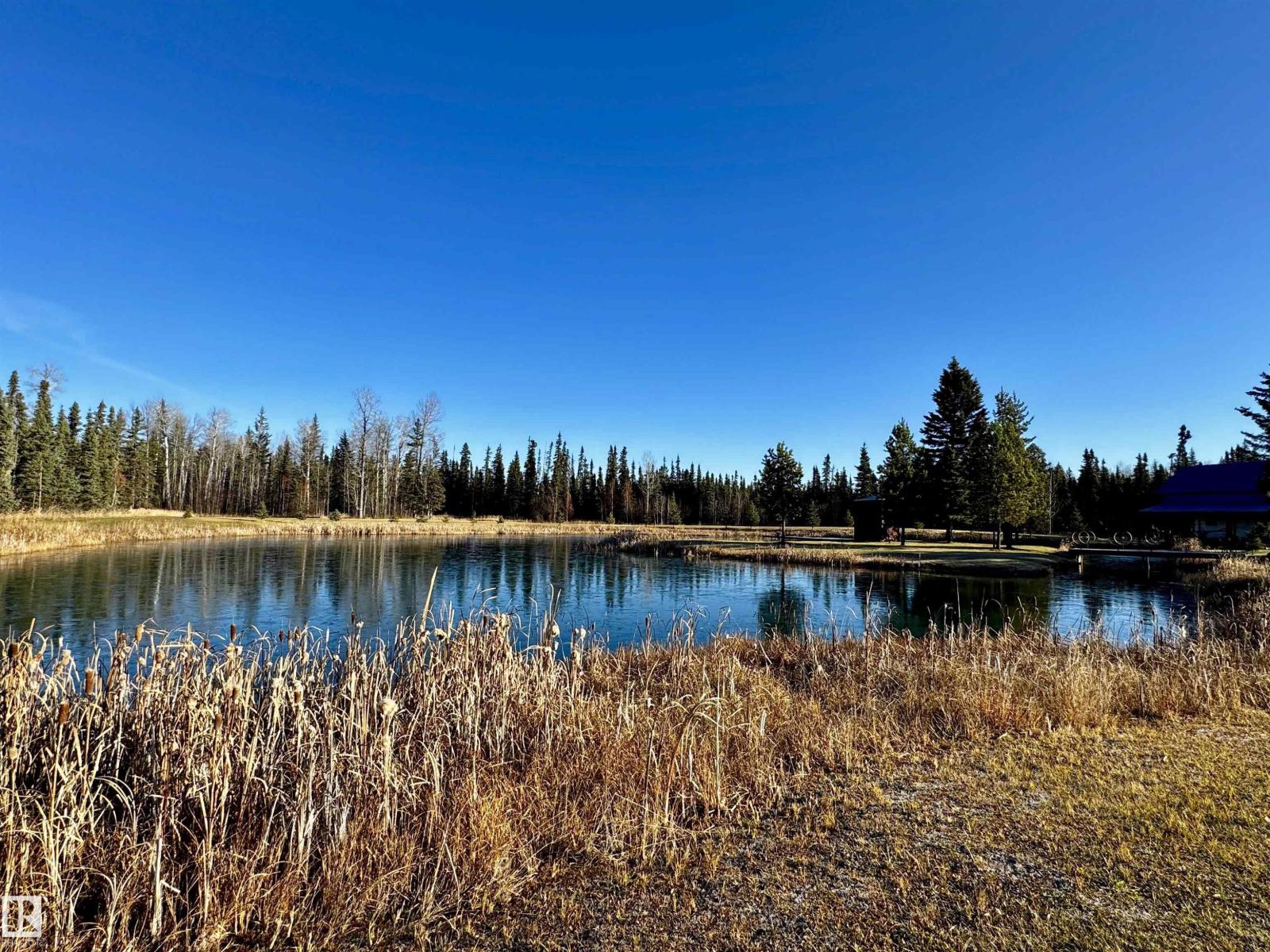 8402 Township 503, Rural Brazeau County, Alberta  T7A 2A3 - Photo 29 - E4411730