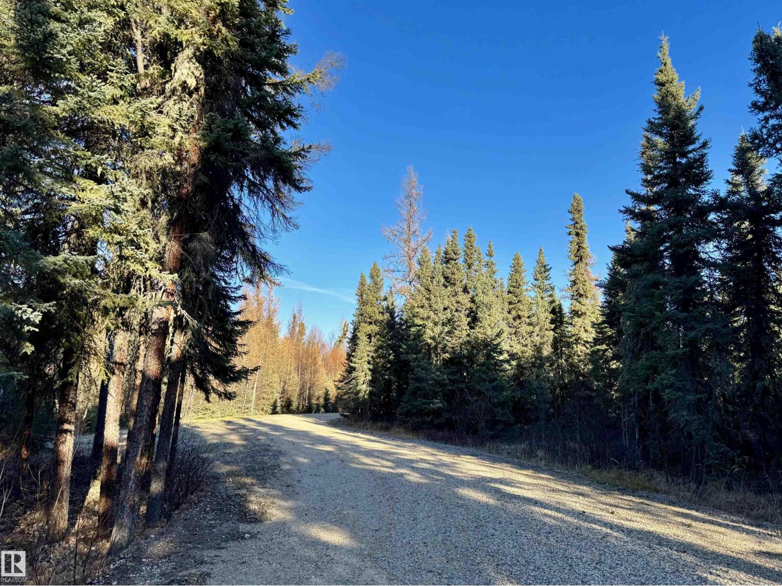 8402 Township 503, Rural Brazeau County, Alberta  T7A 2A3 - Photo 37 - E4411730