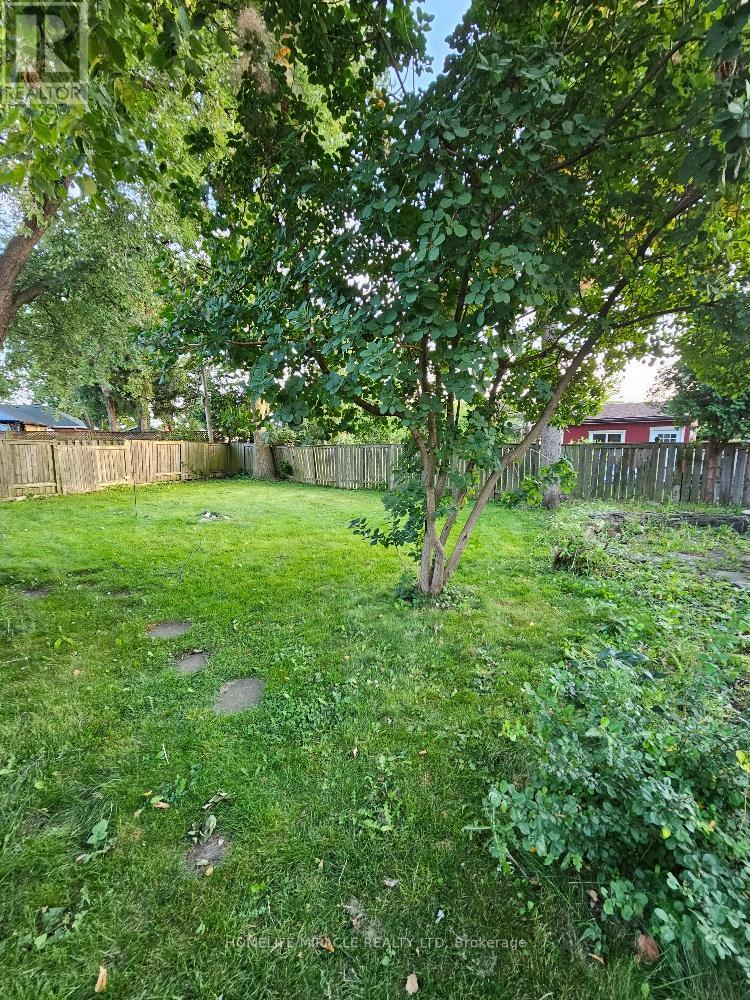 Bsmt - 259 Tower Drive, Toronto, Ontario  M1R 3P9 - Photo 13 - E12440929