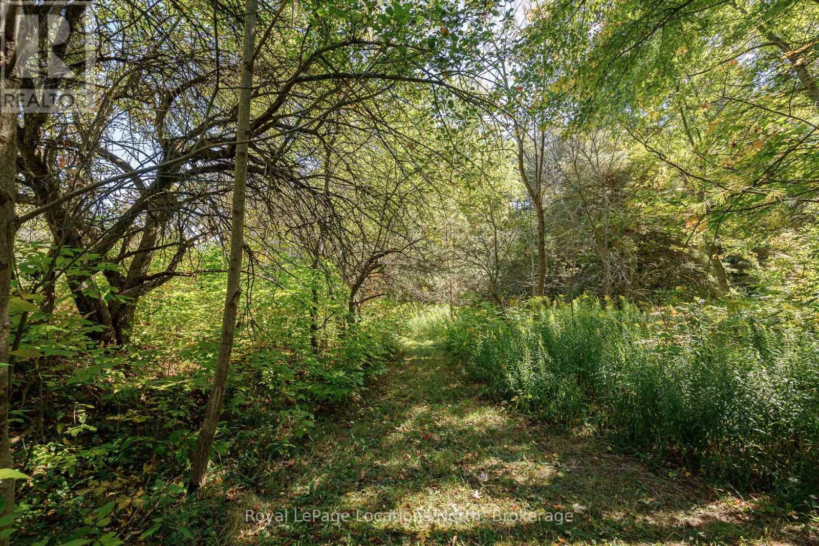 758153 2nd Line E, Mulmur, Ontario  L0M 1M0 - Photo 49 - X12441136