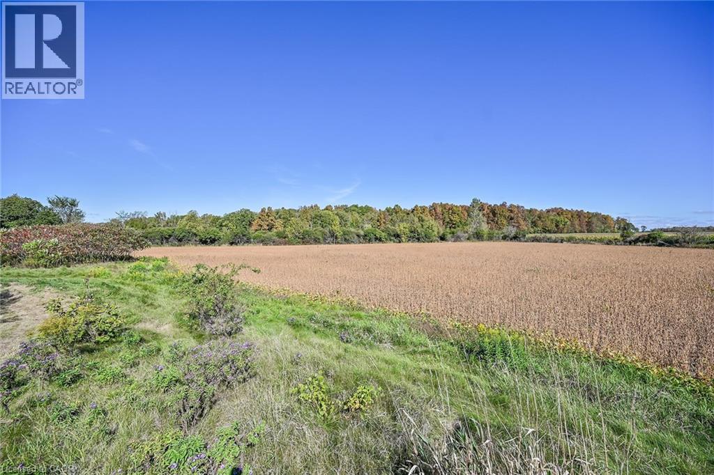 665 Concession 8 Road, Jarvis, Ontario  N0A 1J0 - Photo 40 - 40775566