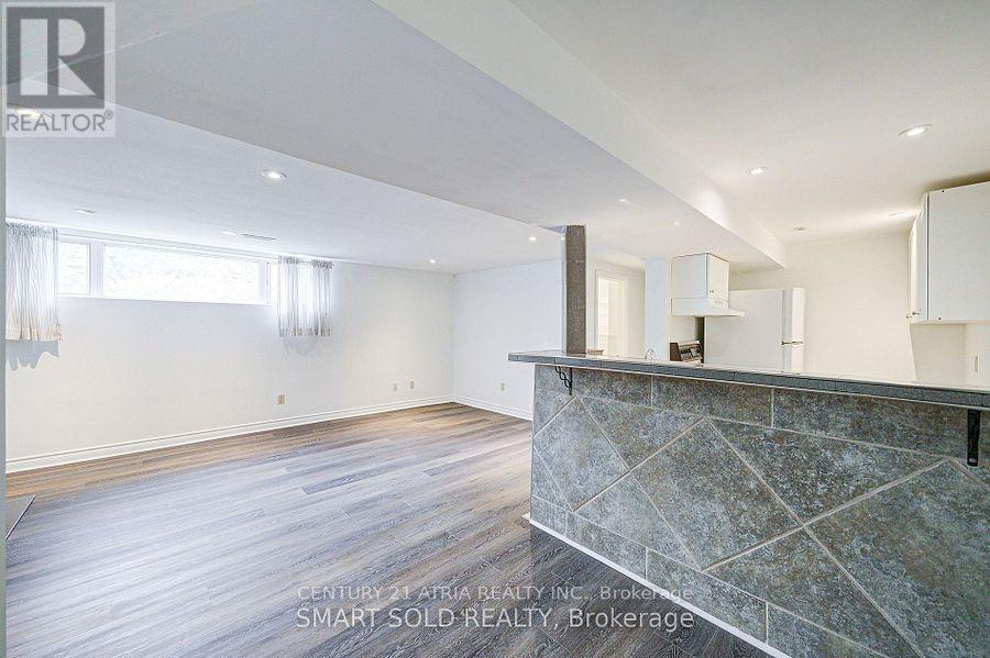 167 Felix Road, Richmond Hill, Ontario  L4C 3M8 - Photo 26 - N12441097