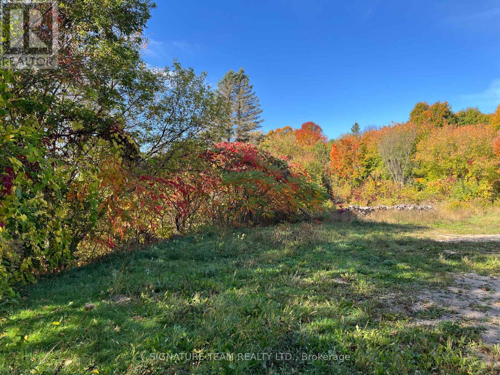 292 Bonnechere Street W, Bonnechere Valley, Ontario  K0J 1T0 - Photo 46 - X12440598