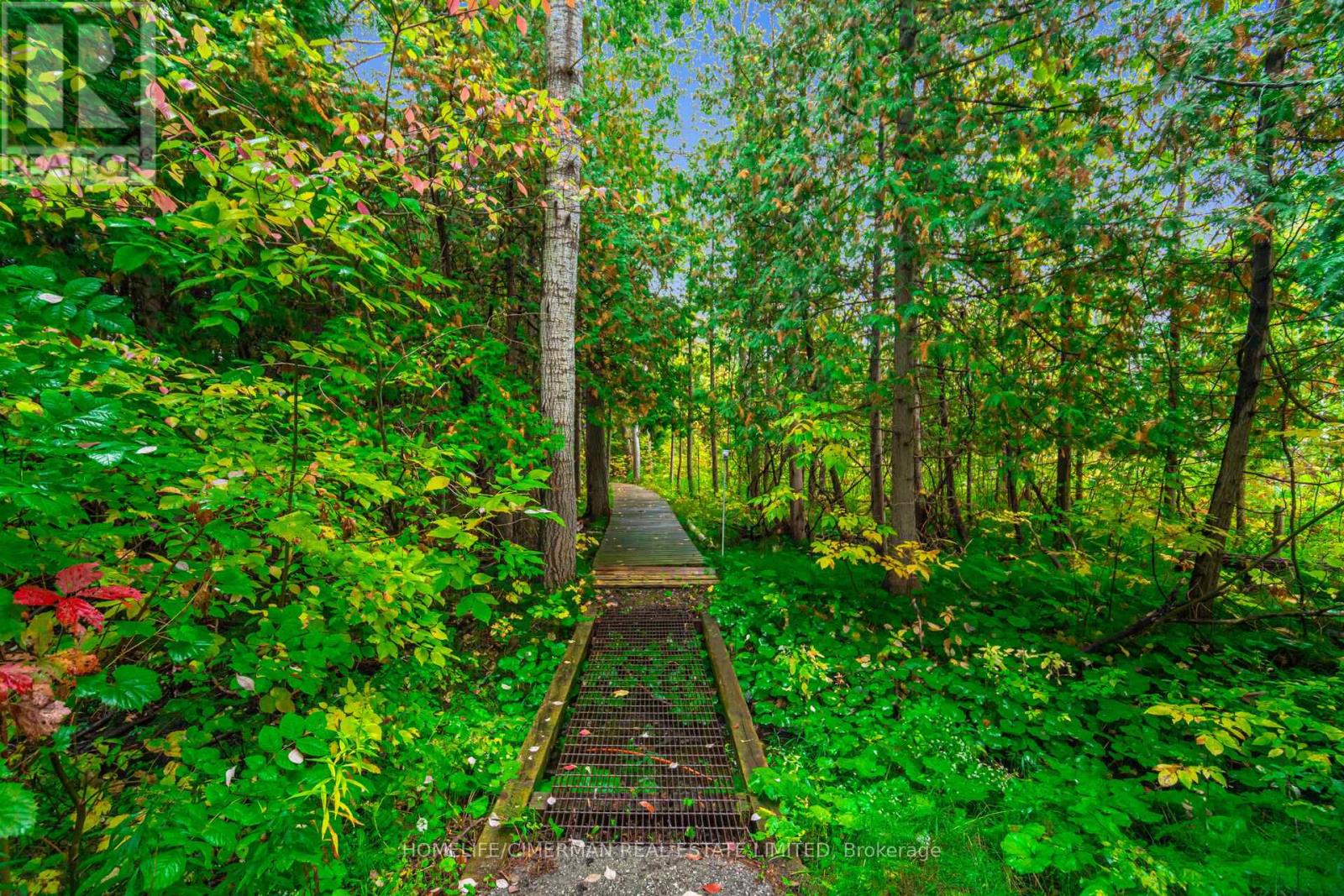 3162 Twelfth Line, Bradford West Gwillimbury (Bradford), Ontario  L3Z 2A5 - Photo 44 - N12441196