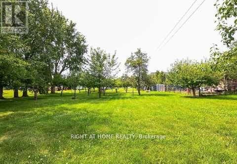 6800 Second Line W, Mississauga, Ontario  L5W 1M9 - Photo 31 - W12441159