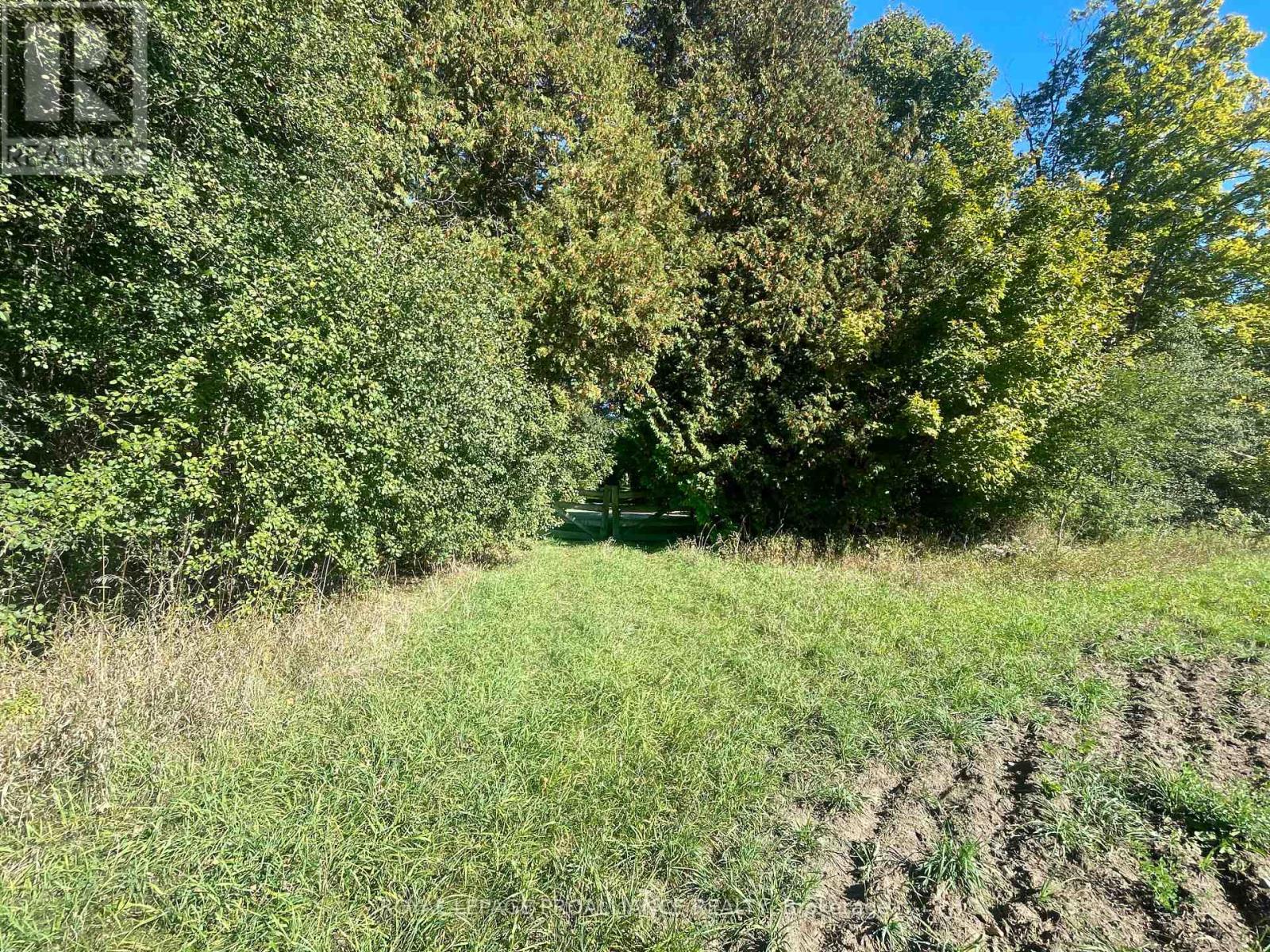 Lot B - 0 Jamieson Road N, Port Hope, Ontario  L1A 3V8 - Photo 6 - X12441141