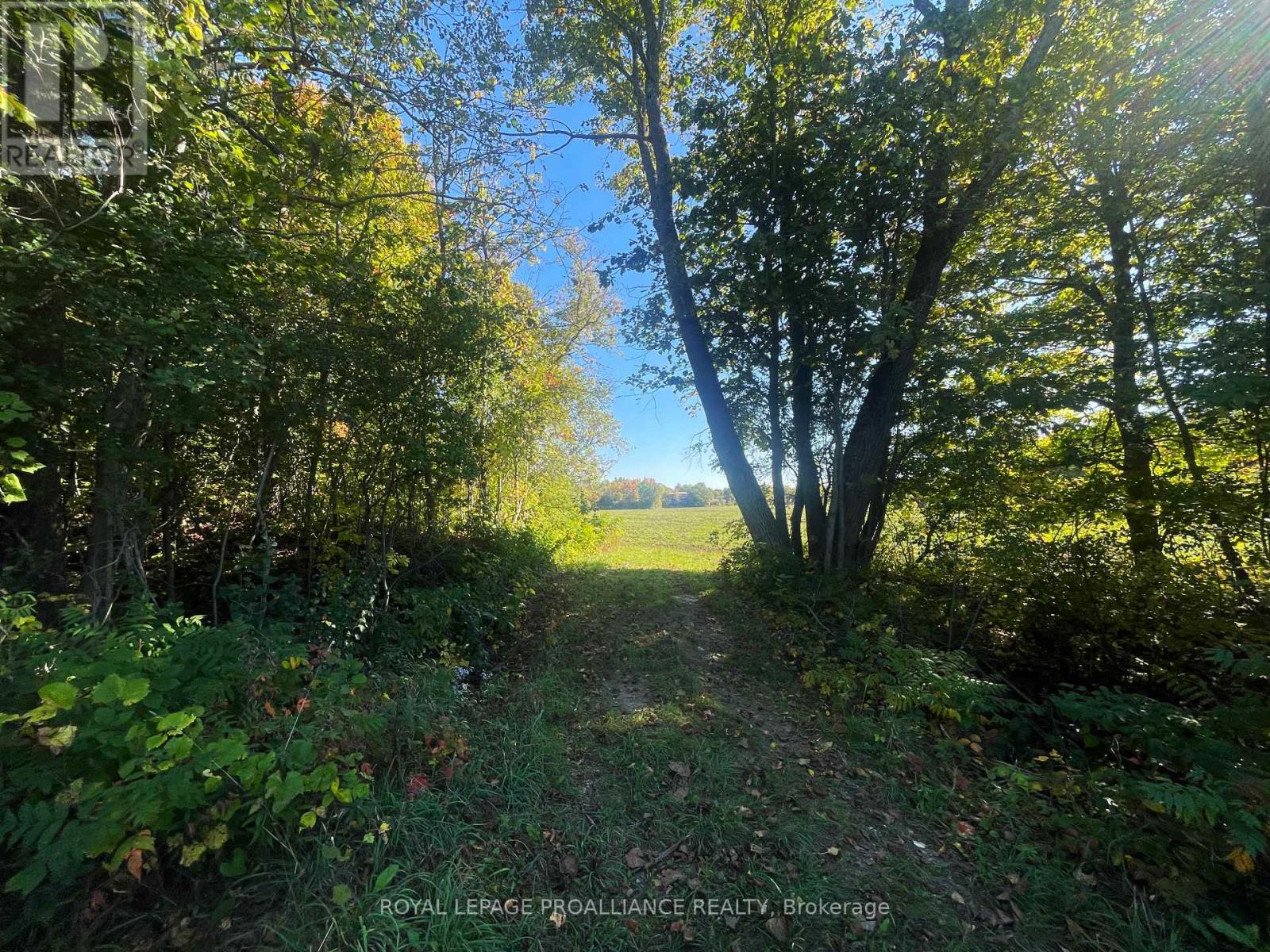 Lot B - 0 Jamieson Road N, Port Hope, Ontario  L1A 3V8 - Photo 7 - X12441141