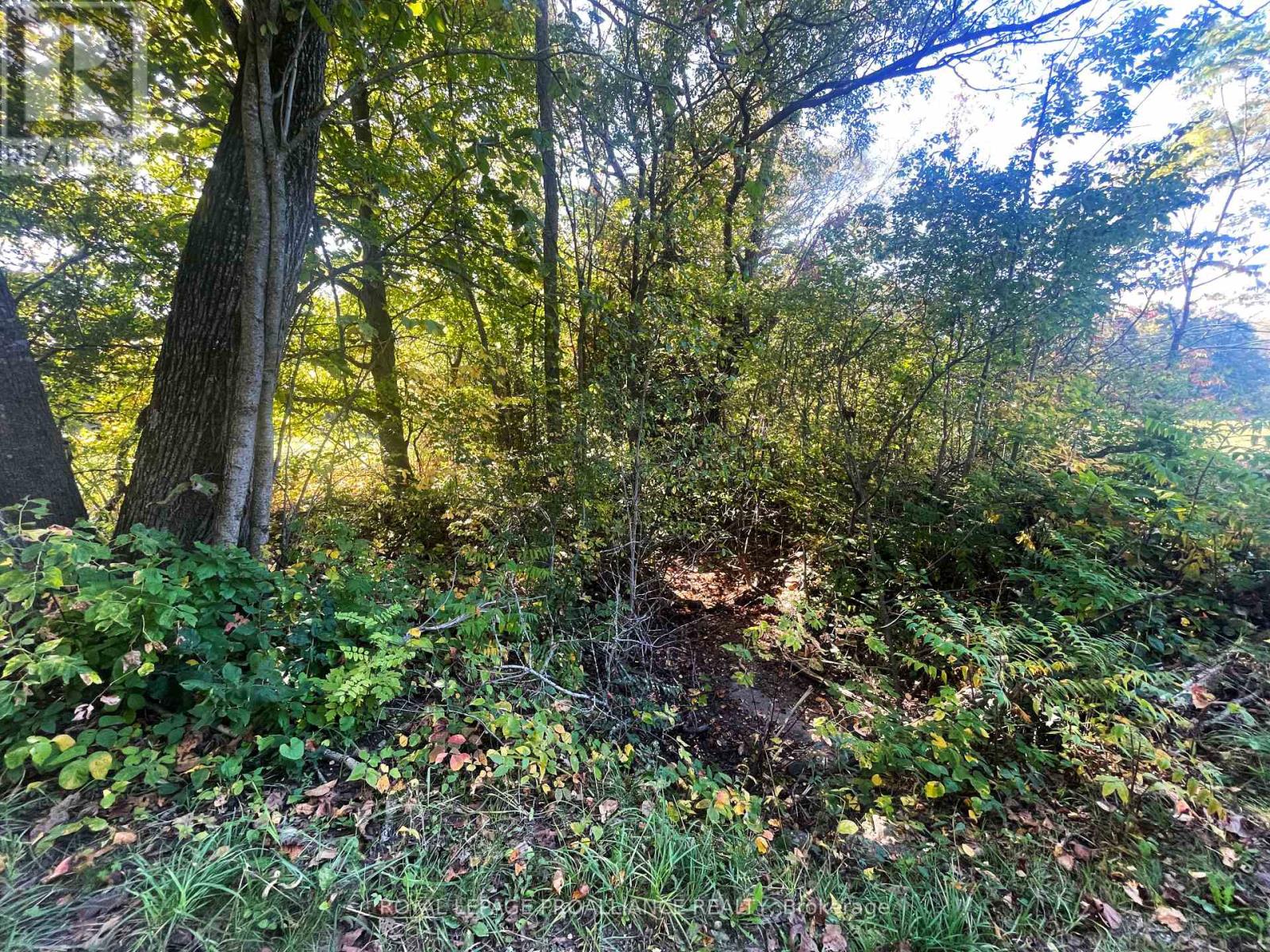 Lot C - 00 Jamieson Road N, Port Hope, Ontario  L1A 3V8 - Photo 6 - X12441143