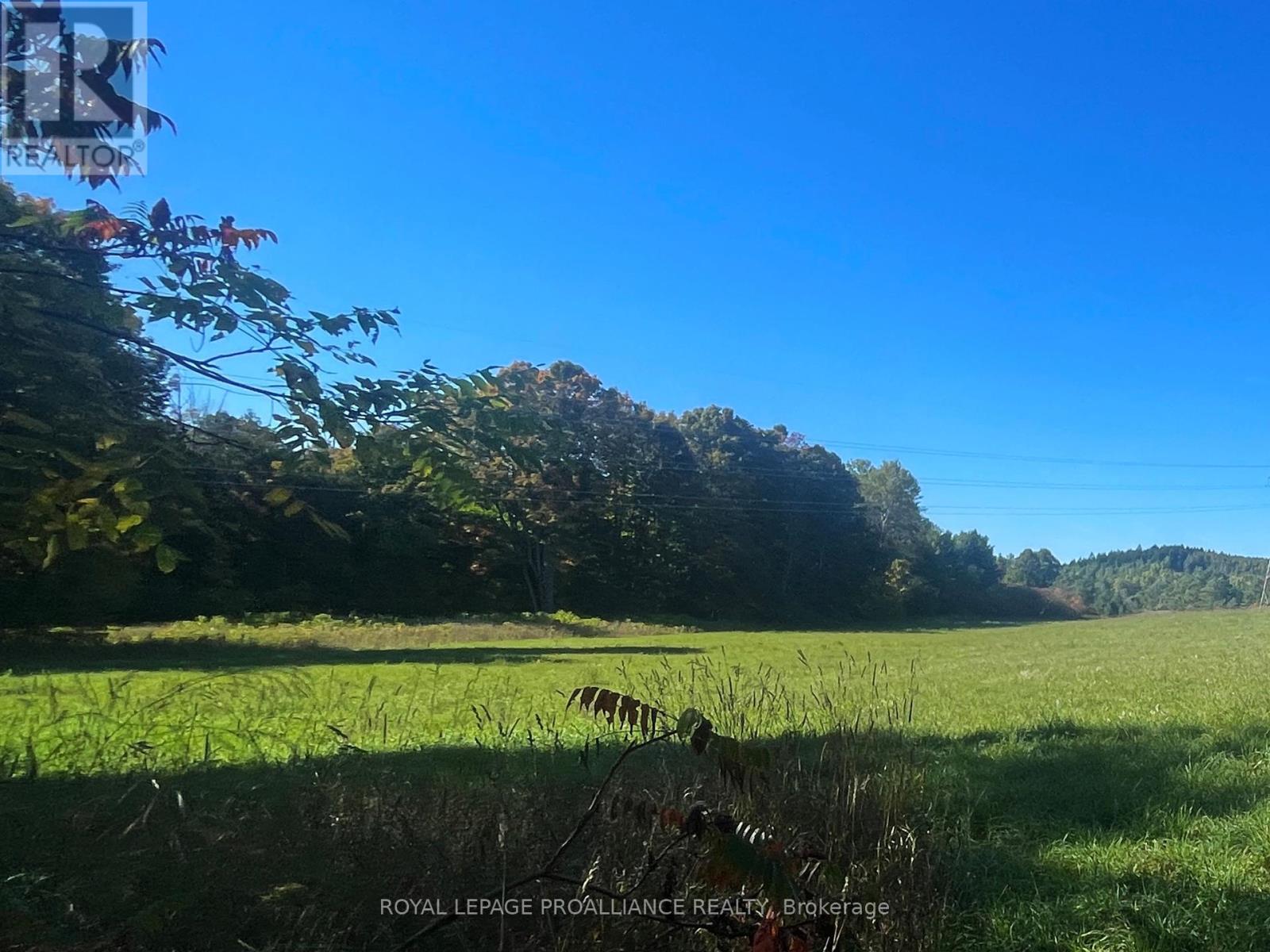 Lot C - 00 Jamieson Road N, Port Hope, Ontario  L1A 3V8 - Photo 7 - X12441143