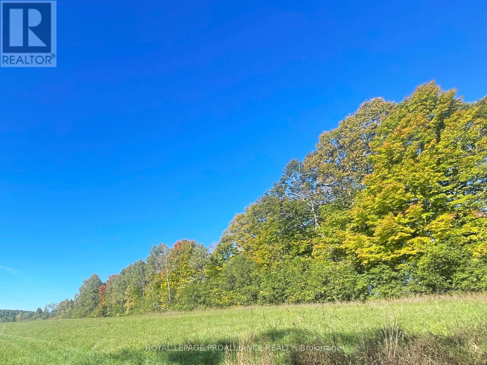 Lot C - 00 Jamieson Road N, Port Hope, Ontario  L1A 3V8 - Photo 8 - X12441143