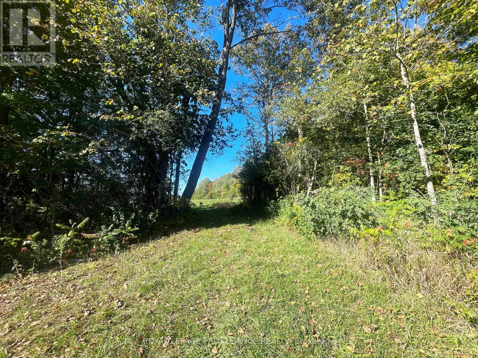 Lot C - 00 Jamieson Road N, Port Hope, Ontario  L1A 3V8 - Photo 9 - X12441143