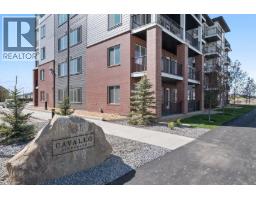 2520, 395 Skyview Parkway NE Cityscape