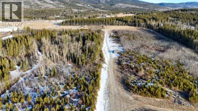 . Mountain Trail, Grande Cache, Alberta  T0E 0Y0 - Photo 11 - A2261615