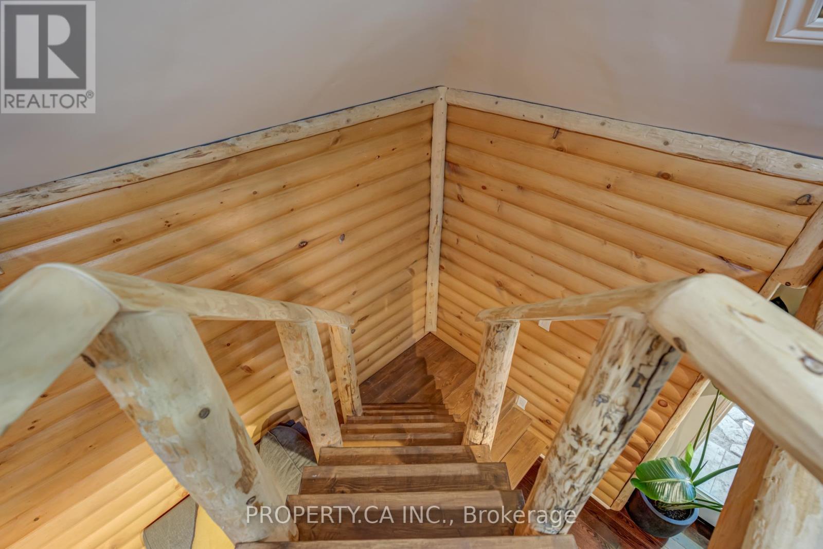 Garden Studio - 38 Royal Street, Toronto, Ontario  M6N 3Z4 - Photo 15 - W12441322