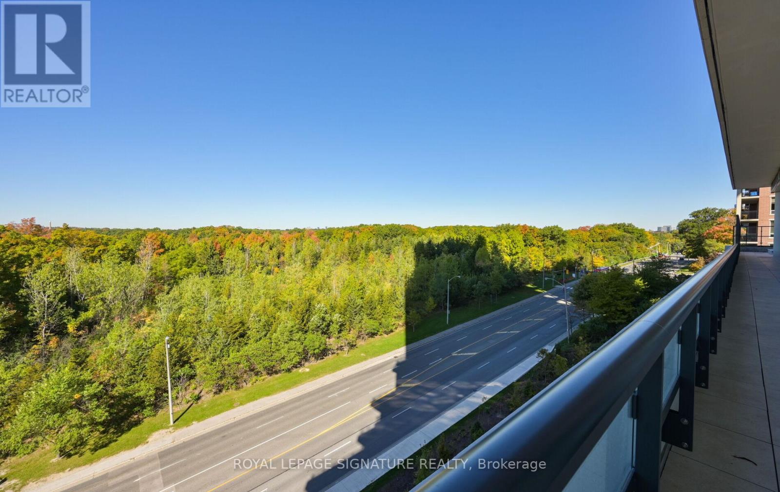 105 - 10 In On The Park Drive, Toronto, Ontario  M3C 0P9 - Photo 40 - C12441489