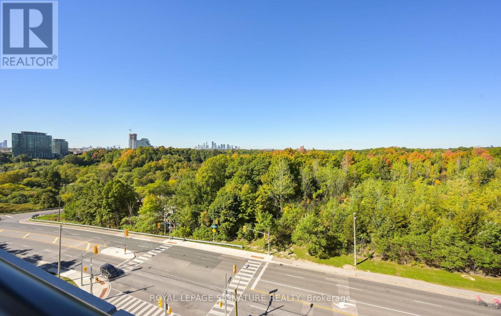 105 - 10 In On The Park Drive, Toronto, Ontario  M3C 0P9 - Photo 41 - C12441489