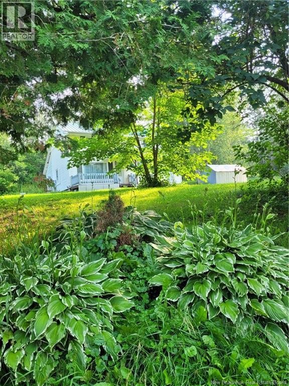 876 Central Street, Centreville, New Brunswick  E7K 2E7 - Photo 5 - NB122928