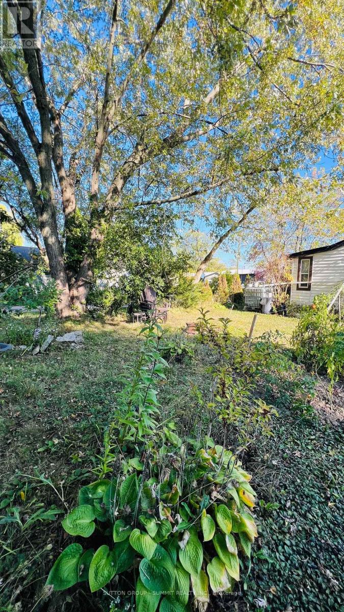 7 1st Street, Haldimand, Ontario  N0A 1P0 - Photo 7 - X12441492