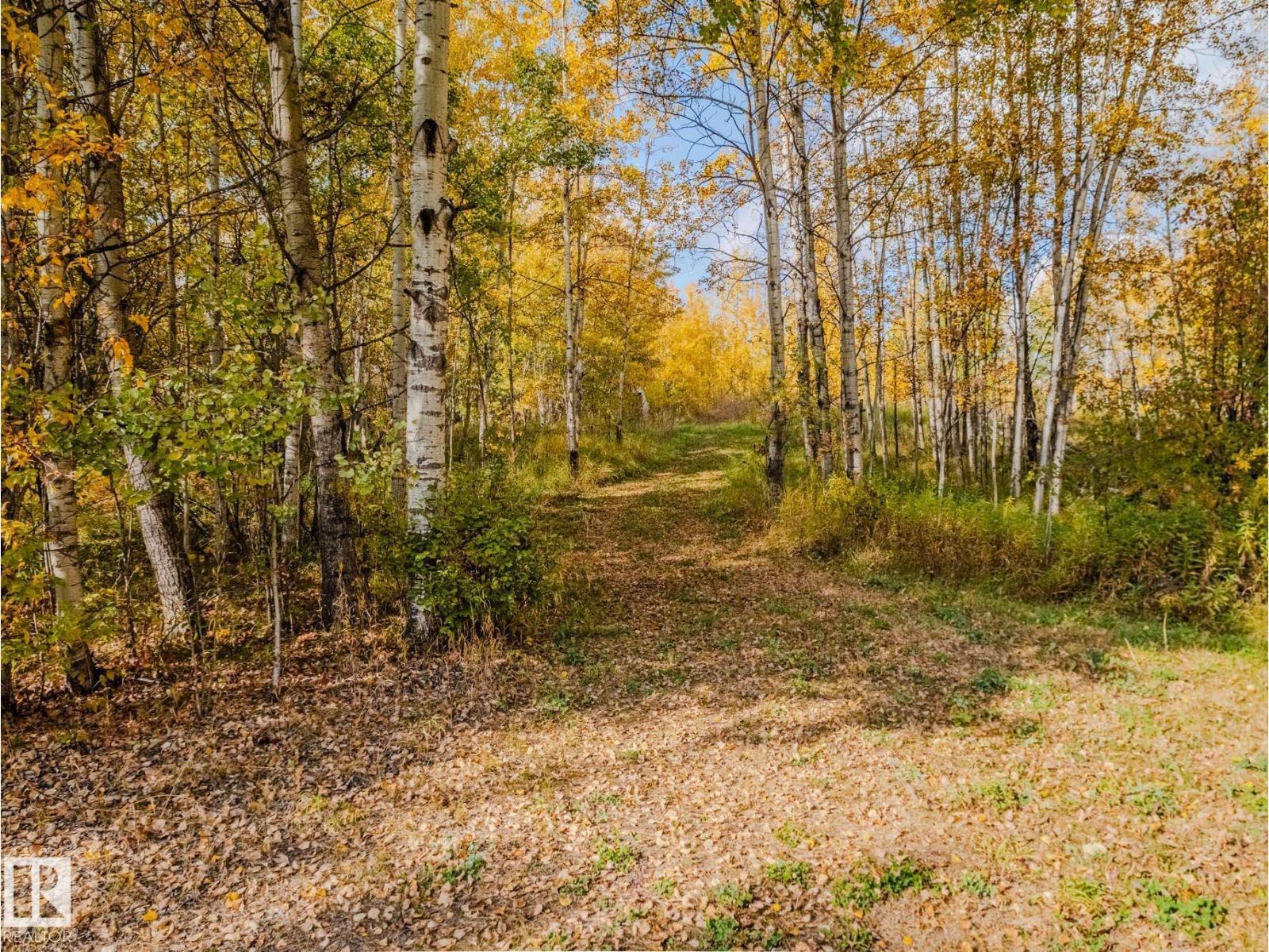 1524 Parkland Dr Sw, Rural Parkland County, Alberta  T7Y 2T6 - Photo 66 - E4460513