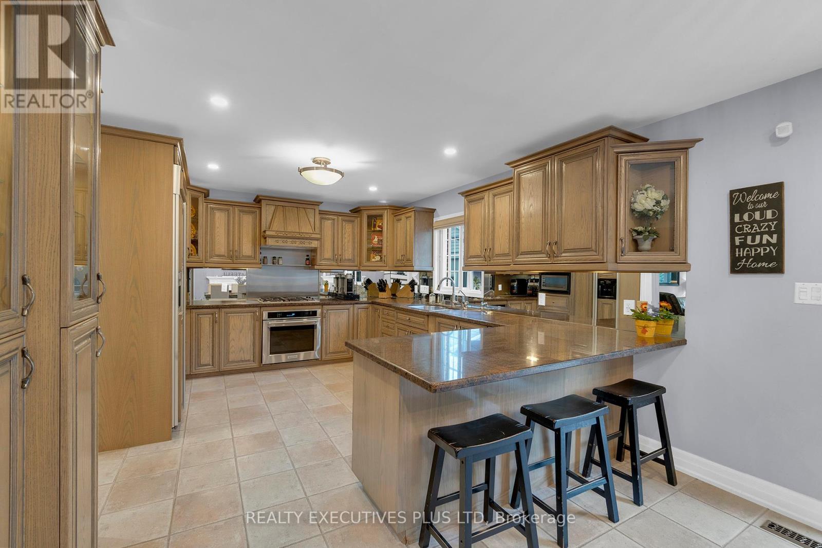 16 Melita Place, Brampton, Ontario  L6S 2Z3 - Photo 19 - W12441594