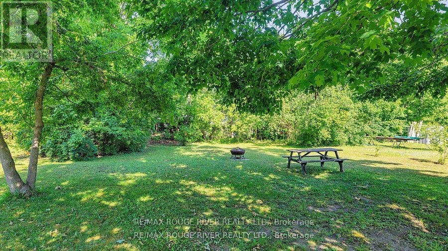 162 Queen Street, Kawartha Lakes (Fenelon Falls), Ontario  K0M 1N0 - Photo 36 - X12441651