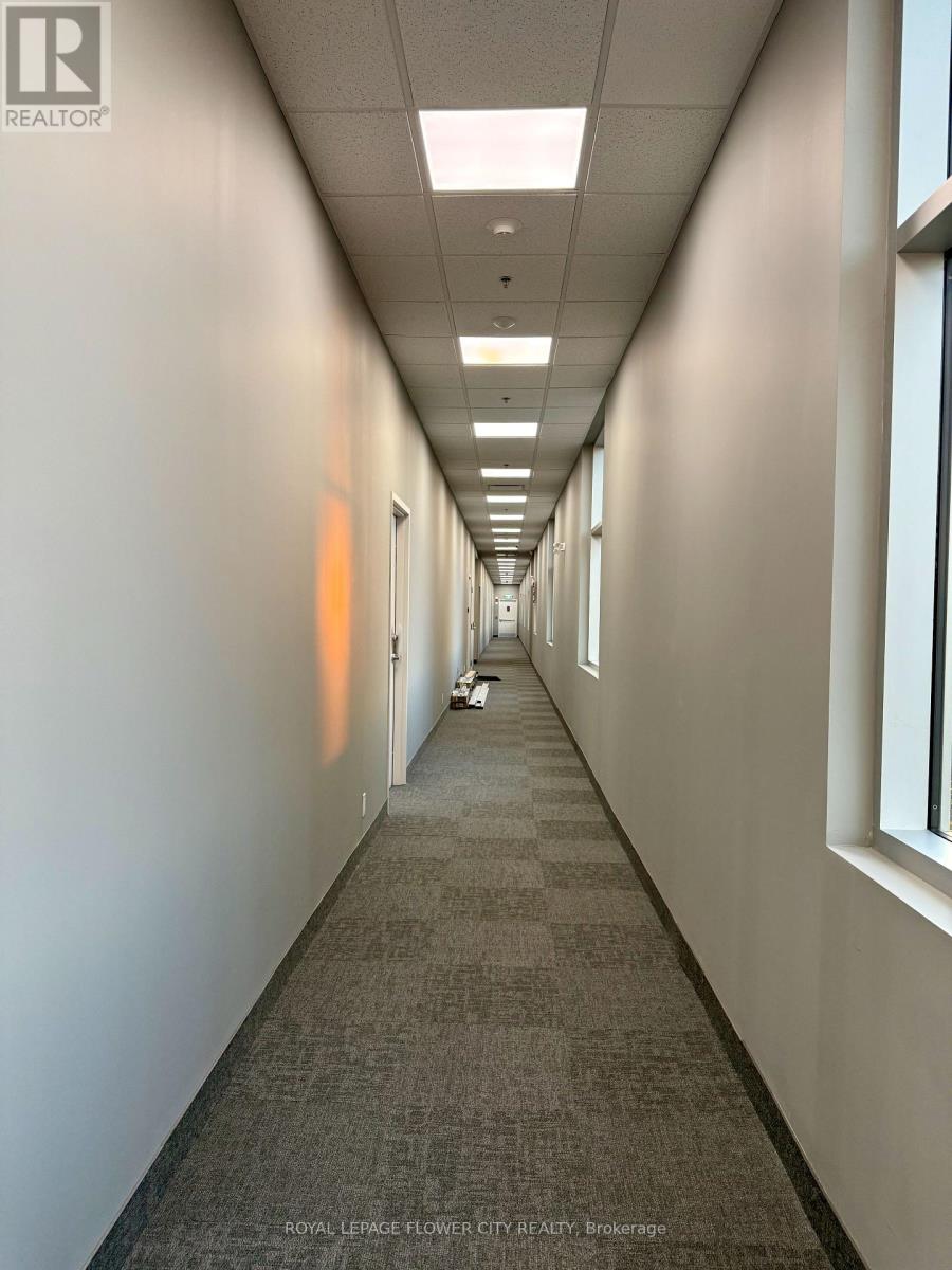 207 - 1038 Garner Road W, Hamilton, Ontario L9G 3K9 - Photo 11 - X12410335