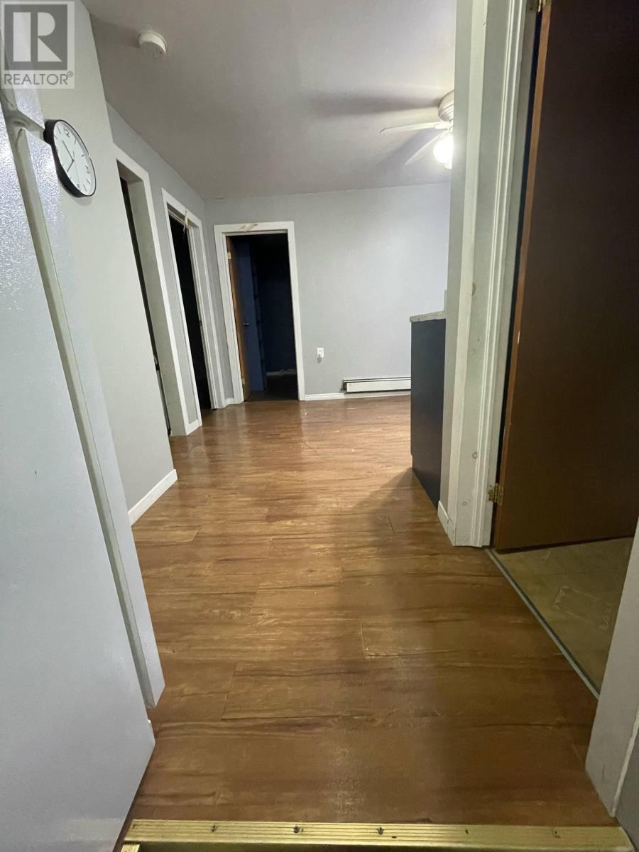 455 Whitney Avenue, Sydney, Nova Scotia  B1L 1G2 - Photo 35 - 202524950