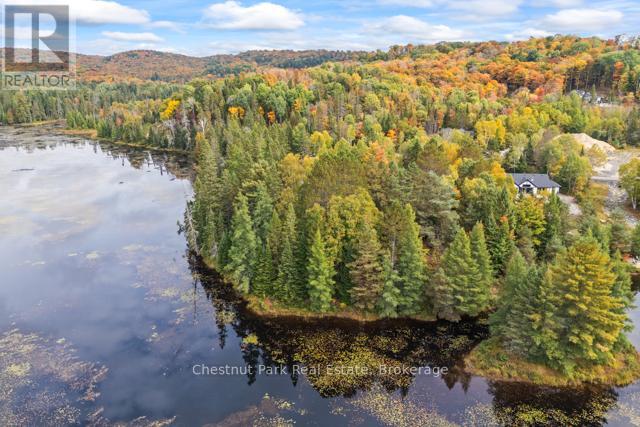 87 - 1019 Pondview Court, Lake Of Bays (Franklin), Ontario  P1H 2J6 - Photo 44 - X12441767
