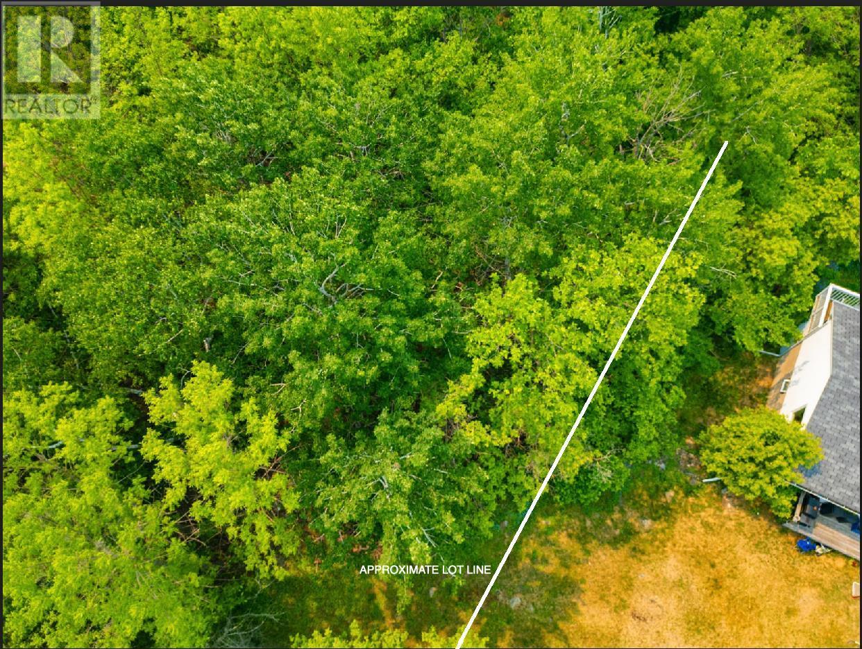 0 Portage St, Kenora, Ontario  P0X 1C0 - Photo 2 - TB250032