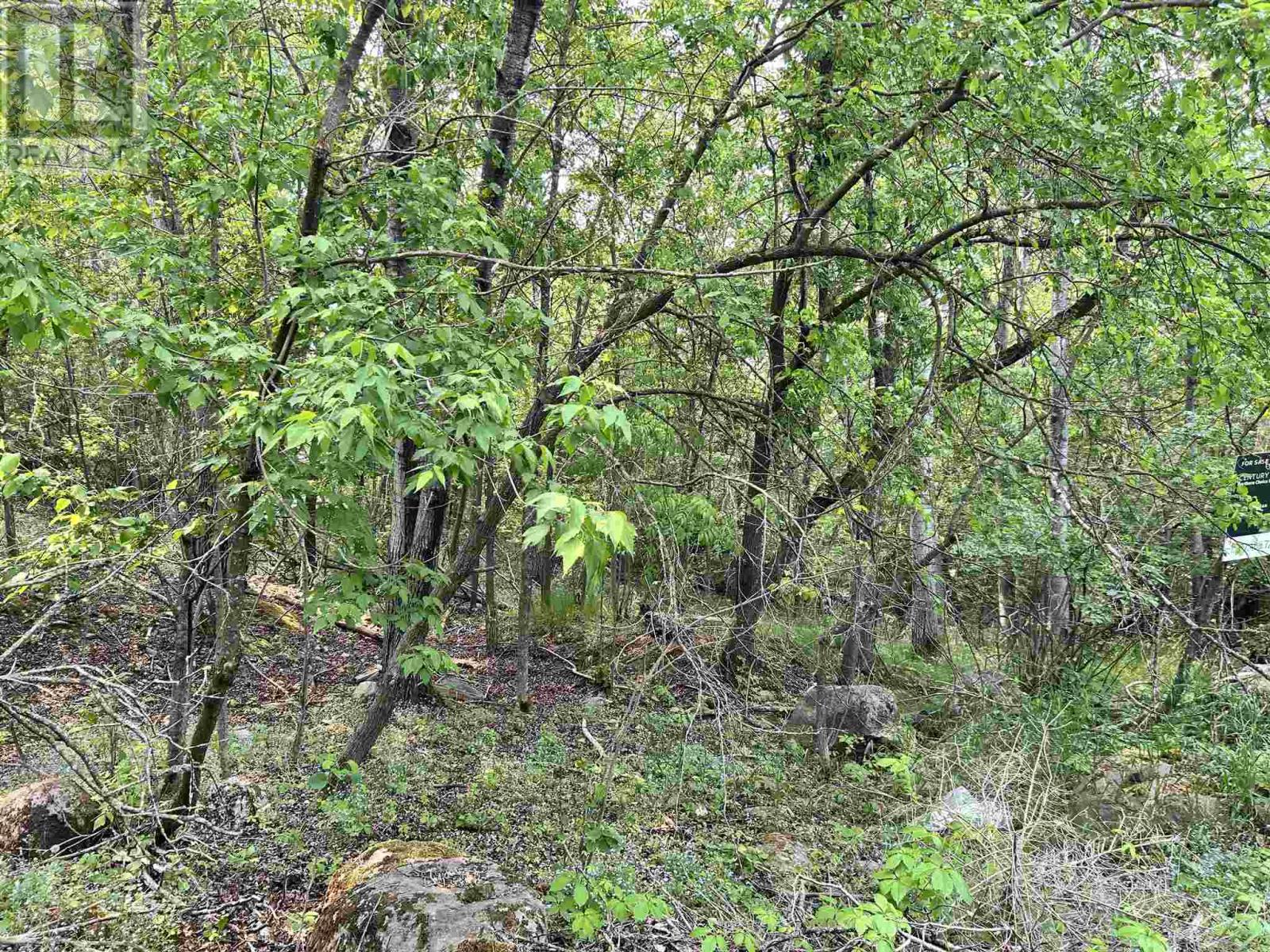 0 Portage St, Kenora, Ontario  P0X 1C0 - Photo 7 - TB250032