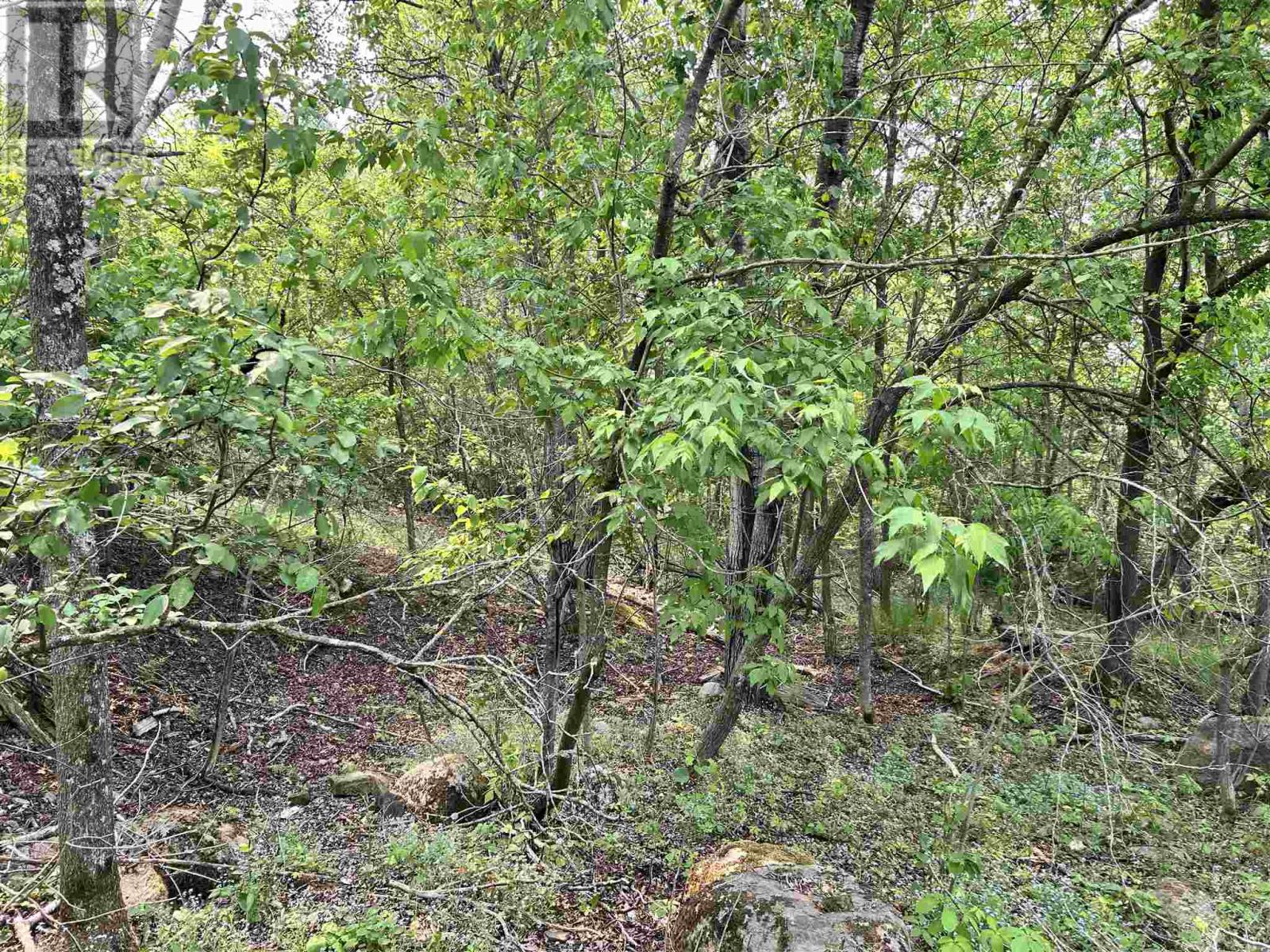 0 Portage St, Kenora, Ontario  P0X 1C0 - Photo 8 - TB250032