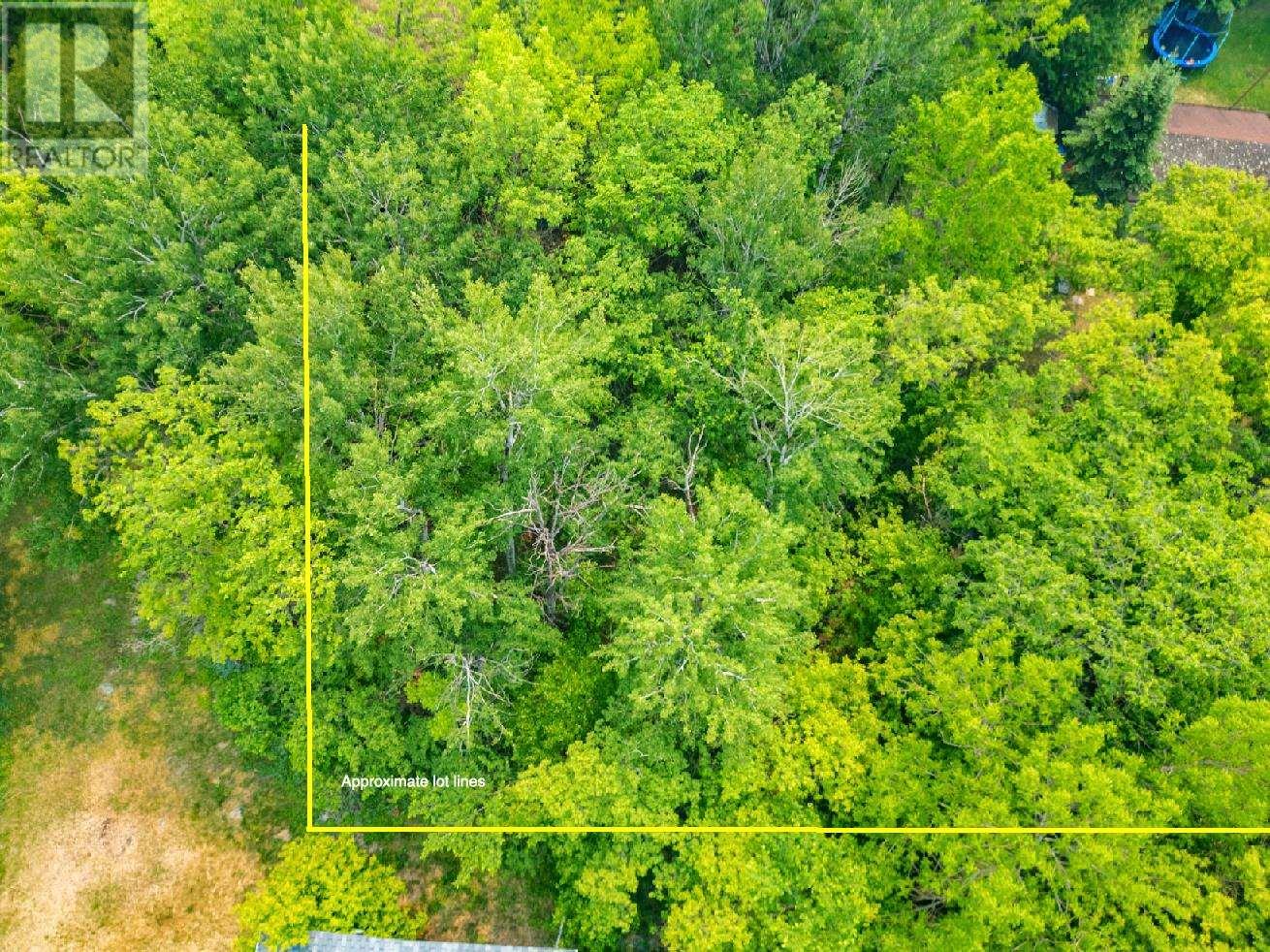 0 Portage St, Kenora, Ontario  P0X 1C0 - Photo 4 - TB250032