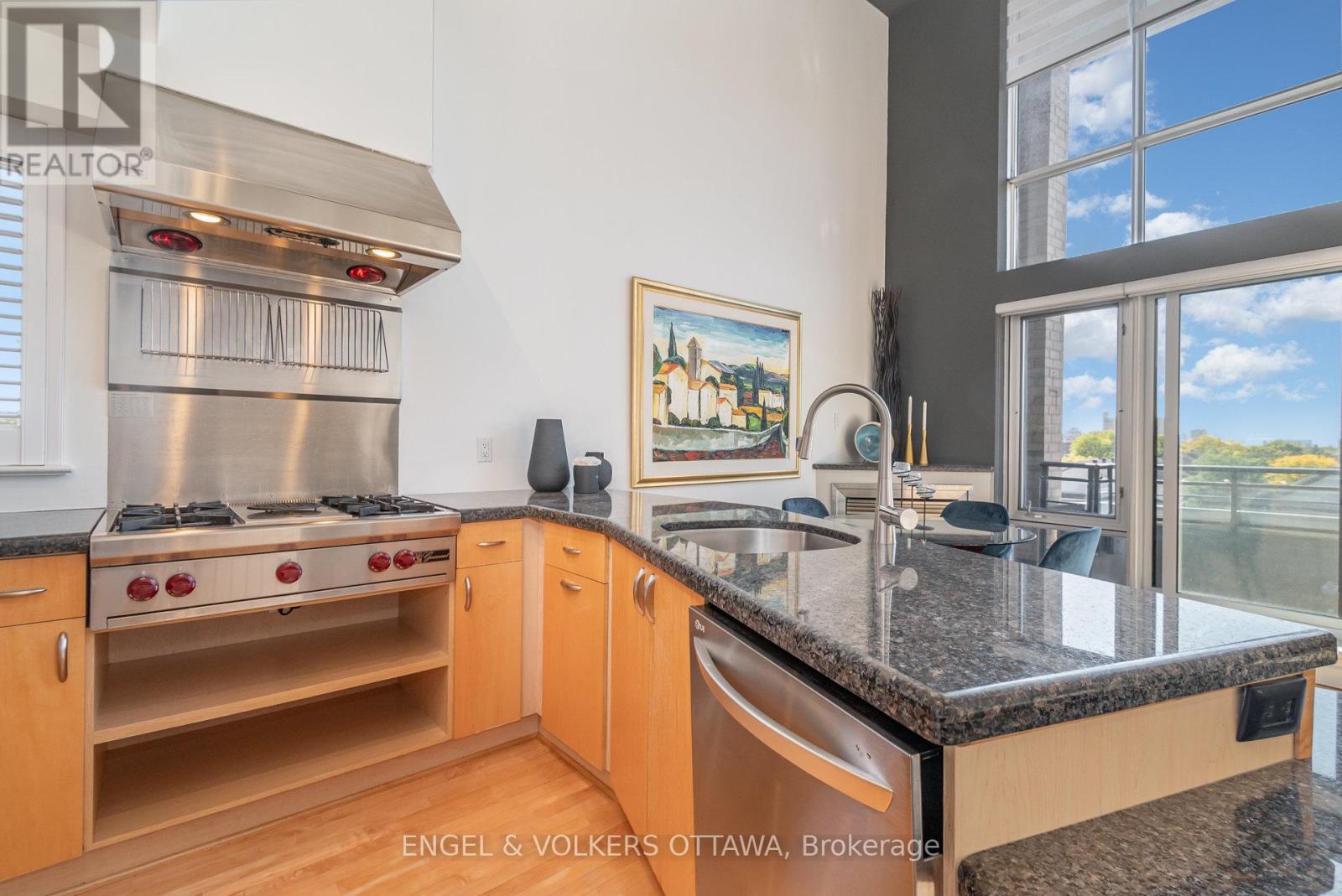 301 - 29 Main Street, Ottawa, Ontario  K1S 1B1 - Photo 10 - X12441771