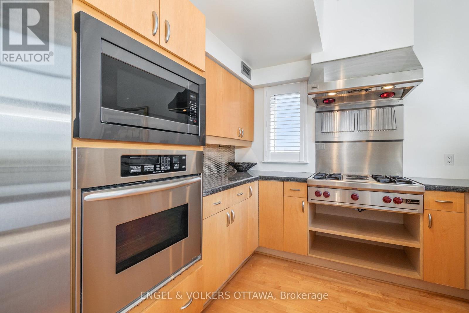301 - 29 Main Street, Ottawa, Ontario  K1S 1B1 - Photo 11 - X12441771