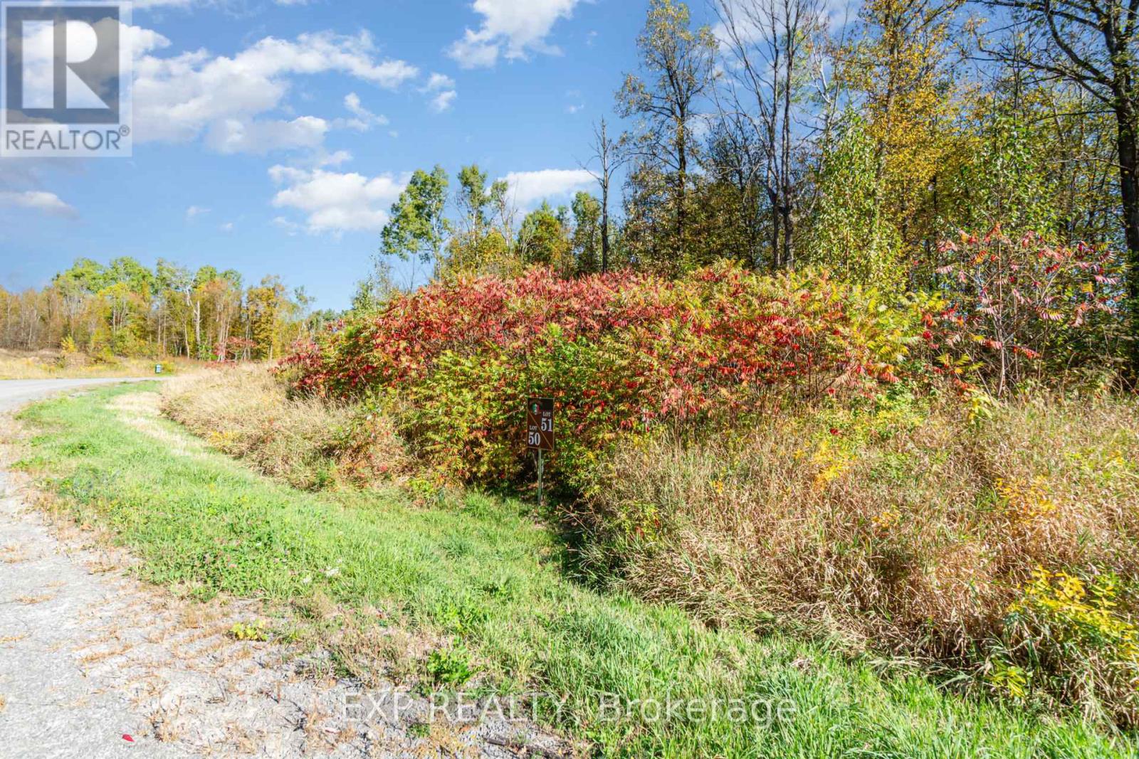 31 Synergy Way, Ottawa, Ontario  K2K 1X7 - Photo 5 - X12441805