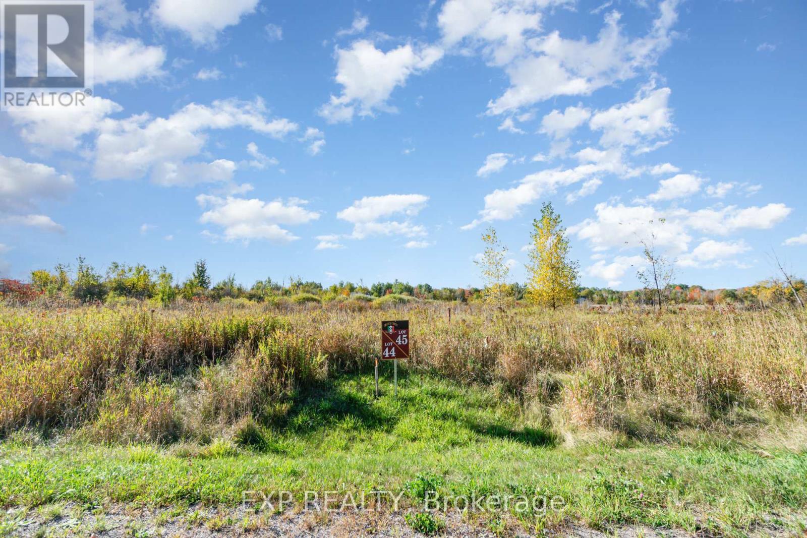 31 Synergy Way, Ottawa, Ontario  K2K 1X7 - Photo 6 - X12441805