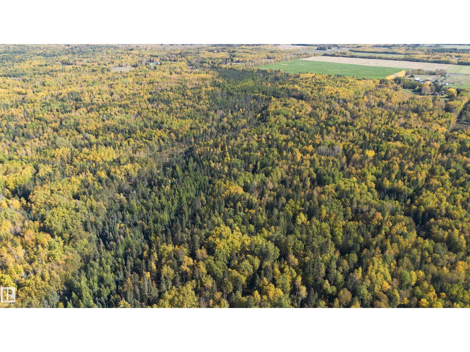 Ne17-63 25-W4th, Rural Westlock County, Alberta  T0G 0S0 - Photo 6 - E4460555