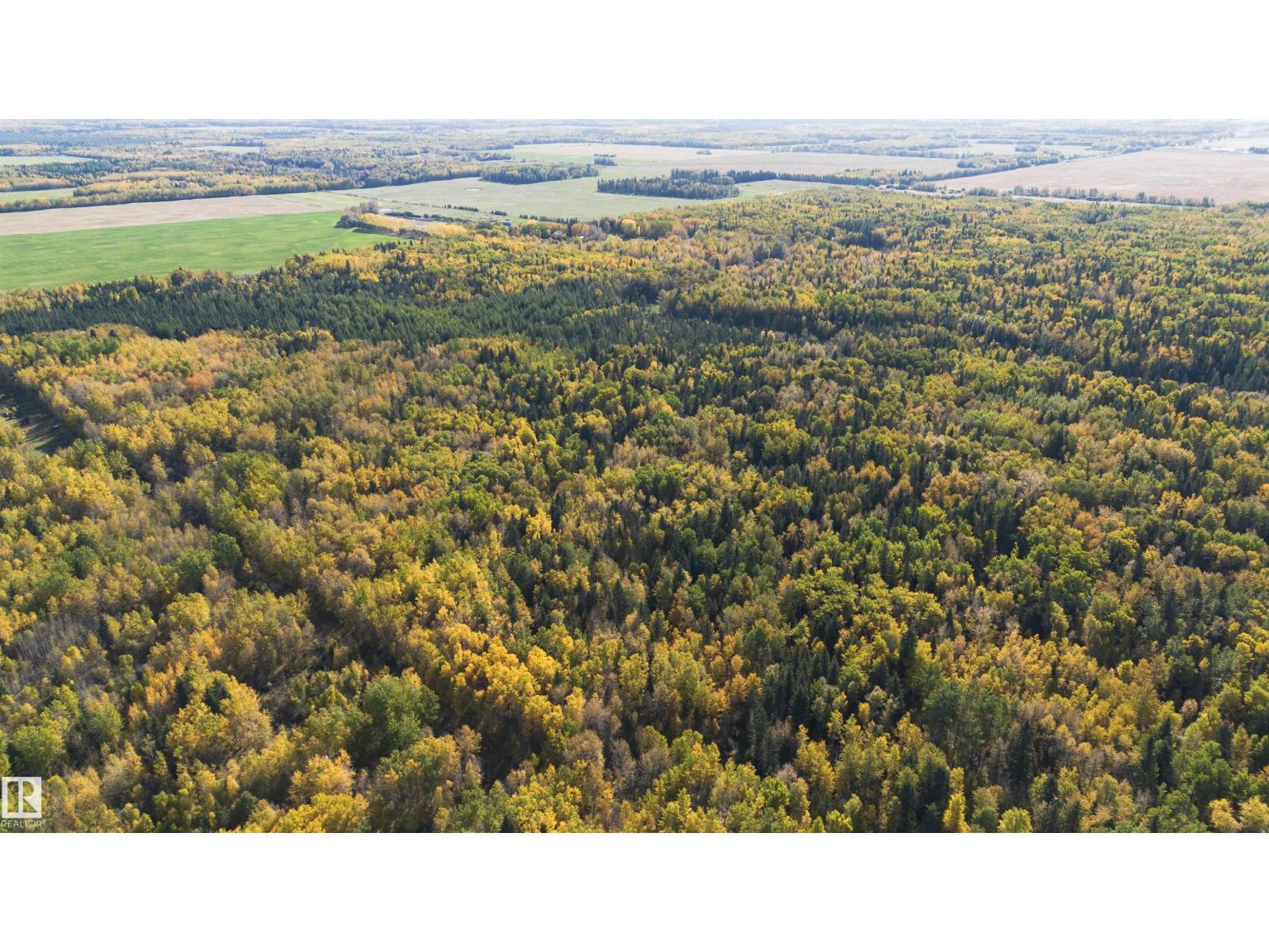 Ne17-63 25-W4th, Rural Westlock County, Alberta  T0G 0S0 - Photo 5 - E4460555