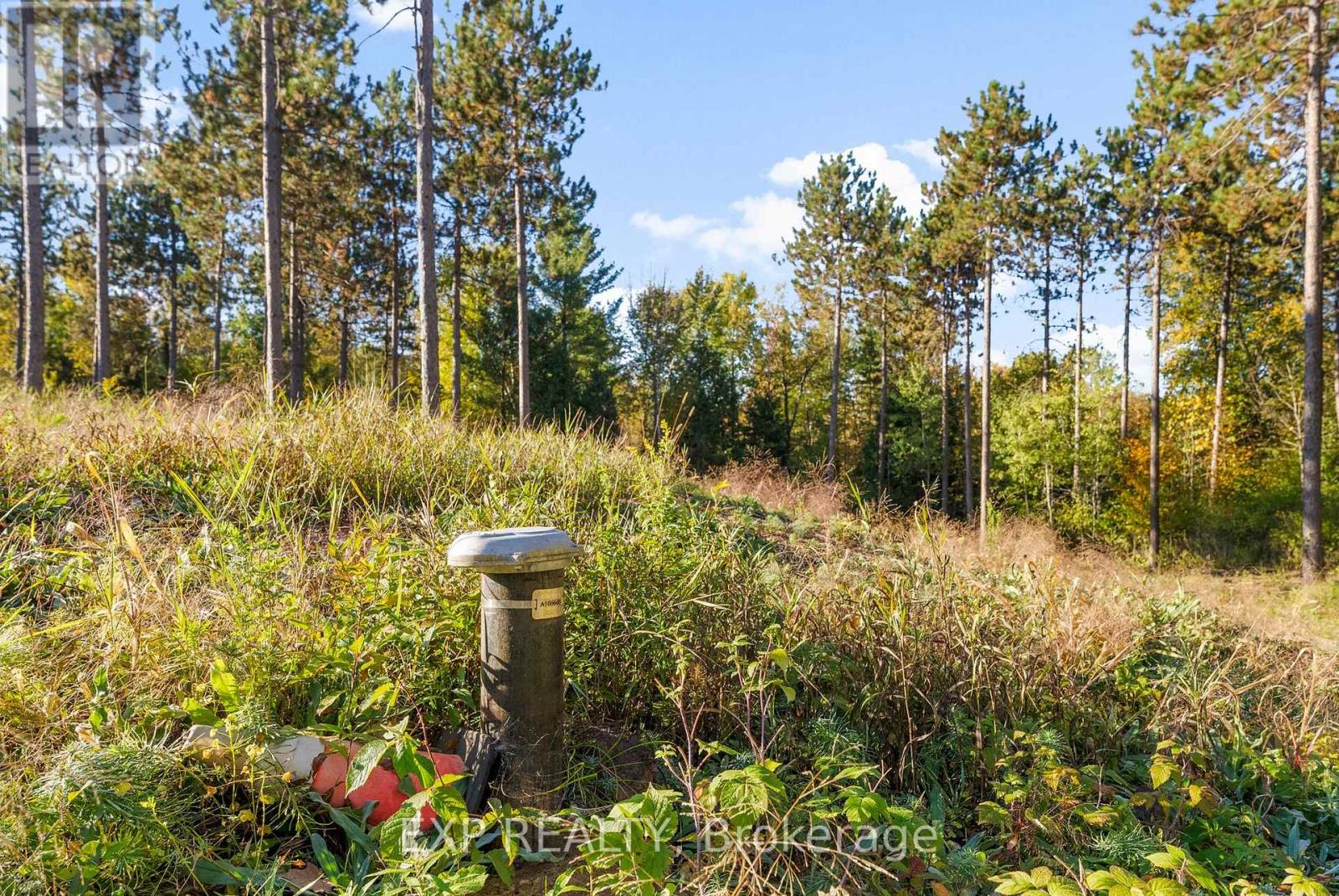 413 Swamp Road, Admaston/bromley, Ontario  K7V 3Z9 - Photo 4 - X12441811