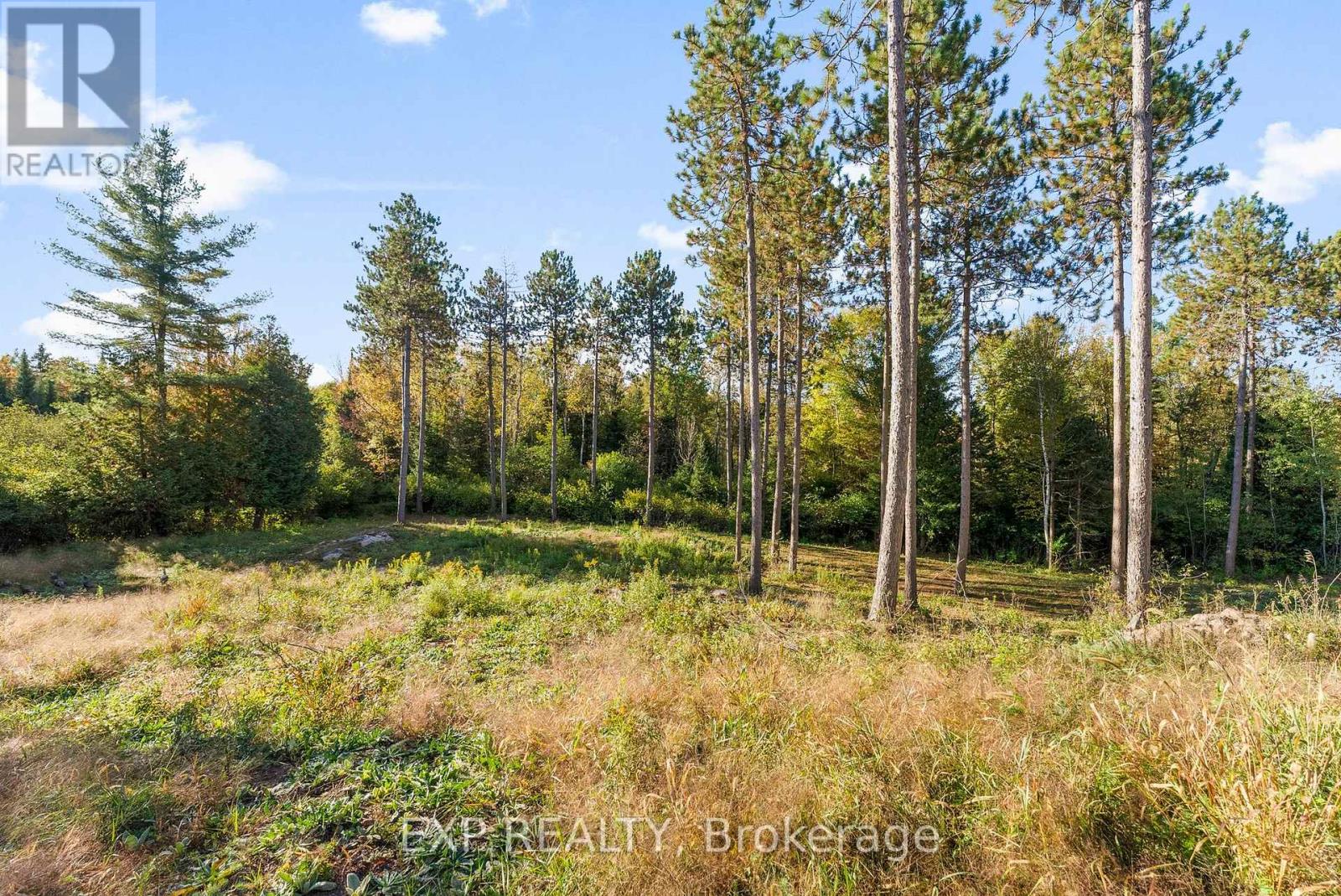 413 Swamp Road, Admaston/bromley, Ontario  K7V 3Z9 - Photo 5 - X12441811