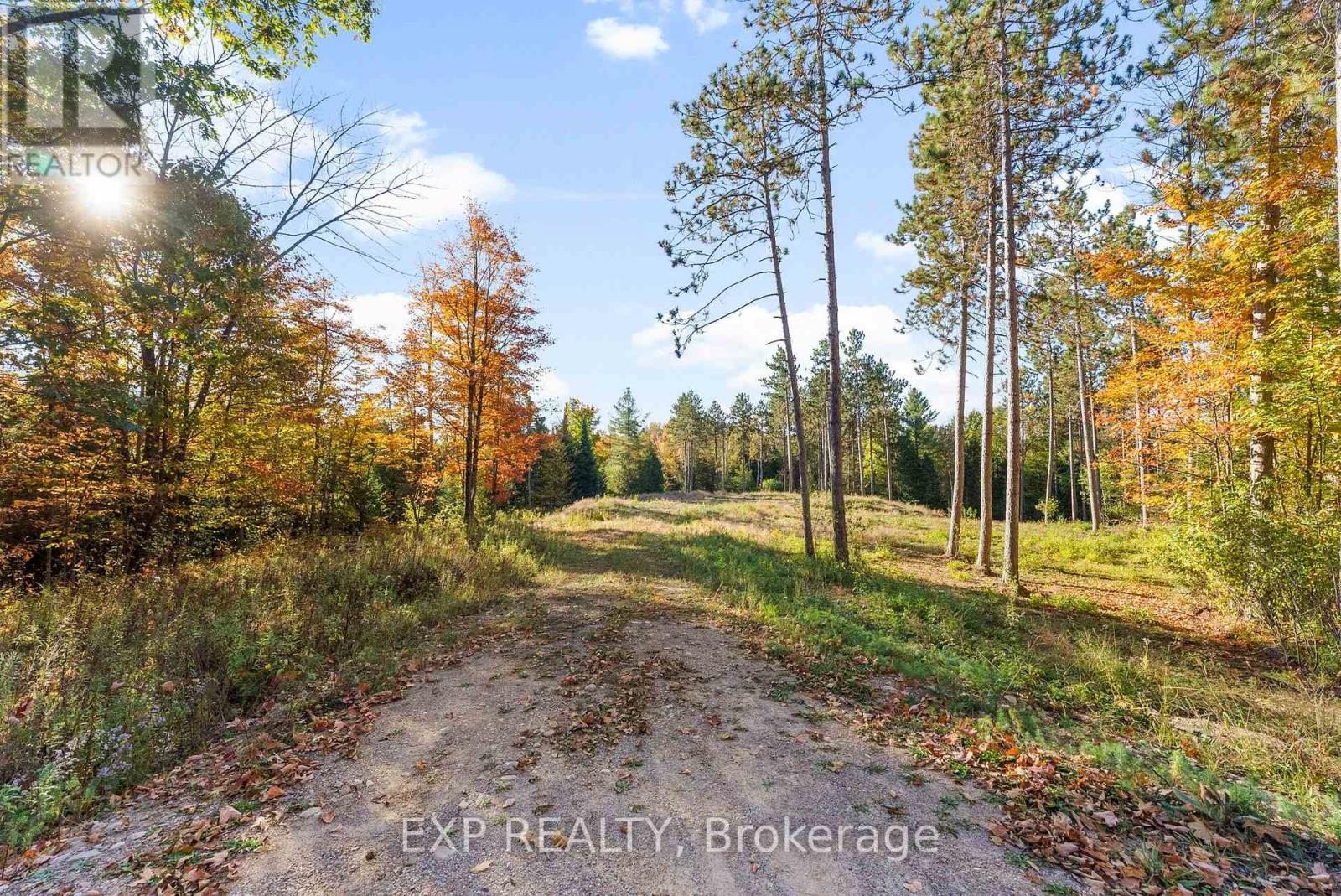 413 Swamp Road, Admaston/bromley, Ontario  K7V 3Z9 - Photo 6 - X12441811
