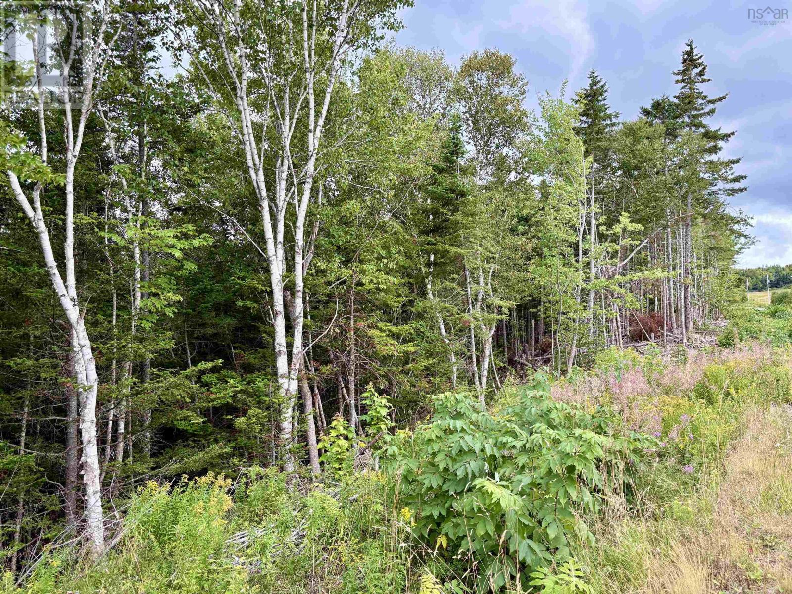0 Hillside Rd Road, Southside Boularderie, Nova Scotia  B1Y 1Y7 - Photo 11 - 202521624